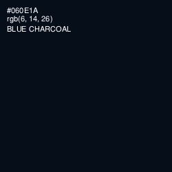 #060E1A - Blue Charcoal Color Image